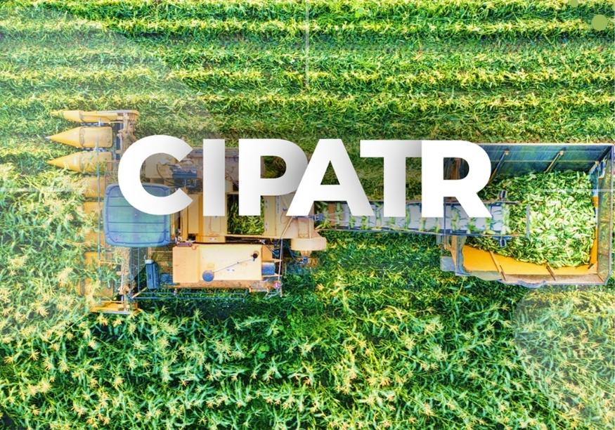 CIPATR NR-31